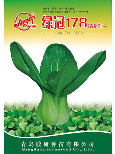 绿冠178——油菜